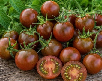 Black Cherry Tomato - Very Productive - 20 Seeds