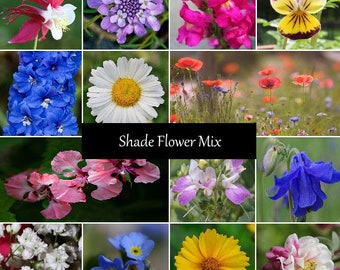 Shade Flower Seed Mix - 17 Species, Variety of Sizes, Annual and Perennial Flowers, Add Some Color to Your Garden Area