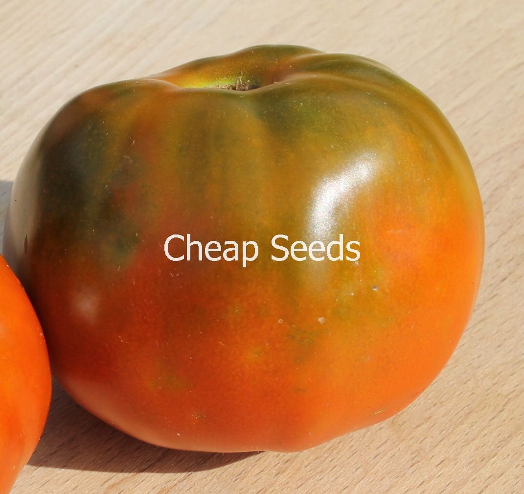 Thorburn's Terra Cotta Organic Heirloom Tomato Large Beefsteak, Bi