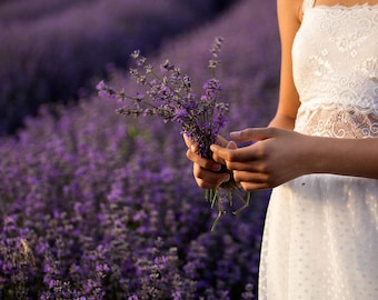 Heirloom English Lavender Seeds – Fragrant Herb, Pollinator Garden (10 seeds)