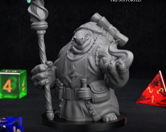Tortle Sorcerer