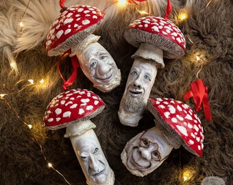 The Mushroom Buddies Collection