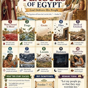 May include: An educational poster titled The Ten Plagues of Egypt, featuring illustrations of the ten biblical plagues, including water turning to blood, frogs, gnats, flies, livestock death, boils, hail, locusts, darkness, and the death of the firstborn.