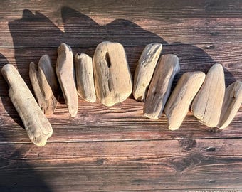 Oregon Coast Driftwood: Natural DIY Craft & Decor Pieces (10, 3-4")