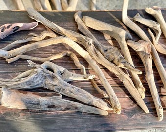 Oregon Coast Driftwood (6-12"): Natural Rustic Decor, Macrame, Crafts