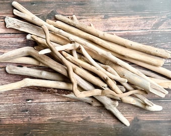 Oregon Coast Driftwood: 20 Piece Set for Crafts & Decor