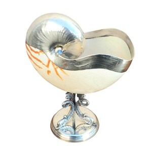 May include: A silver nautilus shell bowl with a silver stand featuring a decorative design of sea creatures. The bowl is made of a natural nautilus shell with a white and orange interior.