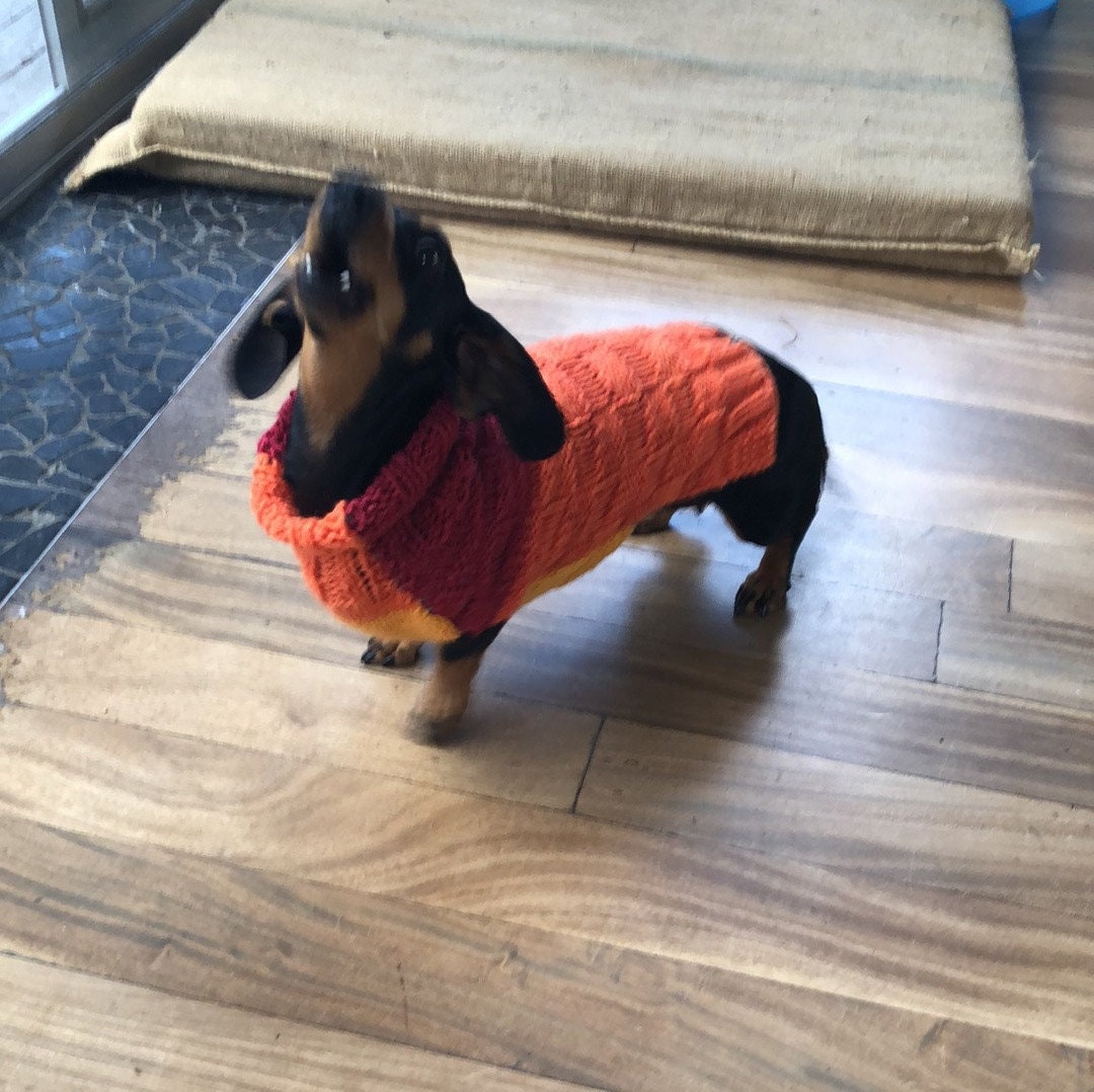 Dog Jumper Dachshund Jumpers Hand Knit Puppy Apparel Etsy Australia