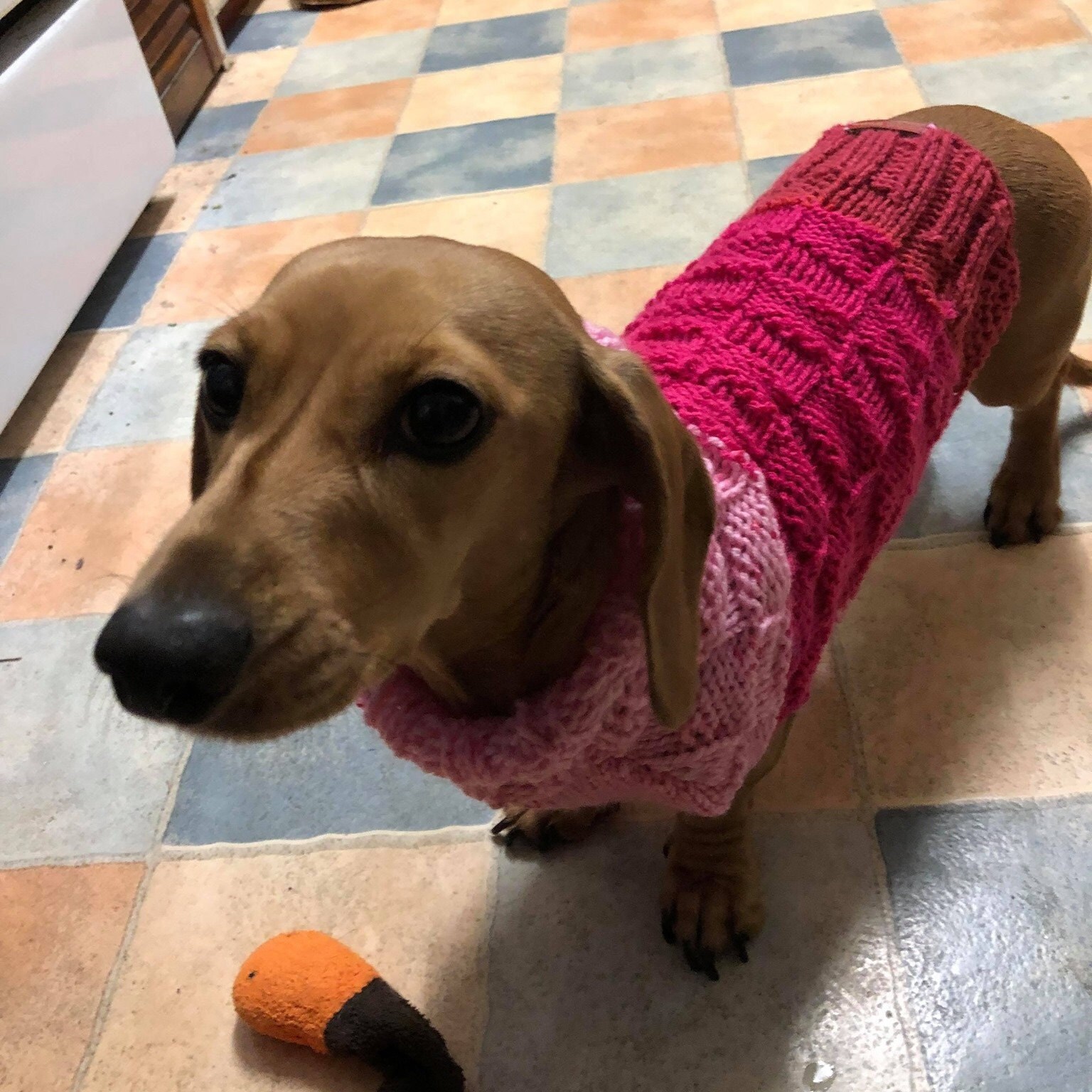 Dog Jumper Dachshund Jumpers Hand Knit Puppy Apparel Etsy Australia