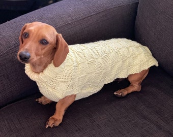 Puede incluir: Un dachshund marrón y tostado con un suéter de punto amarillo claro. El perro está sentado en un sofá gris oscuro.