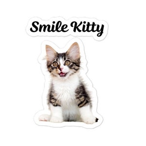 Kitten Sticker, Funny Stickers, Animal Sticker, Laptop Sticker, Bumper Sticker, Phone Sticker, Bottle Sticker, Cat Sticker, Kitty Sticker