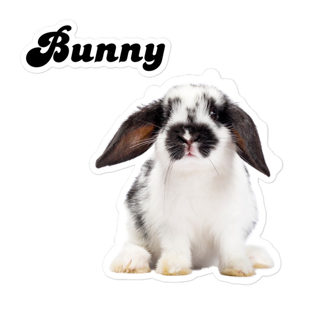 Bunny Sticker, Funny Stickers, Animal Sticker, Stickers, Laptop Sticker ...