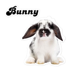 Bunny Sticker, Funny Stickers, Animal Sticker, Stickers, Laptop Sticker, Bumper Sticker, Phone Sticker, Bottle Sticker, Bunny Rabbit Sticker
