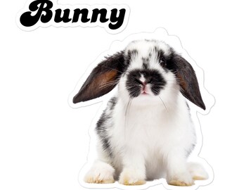 Bunny Sticker, Funny Stickers, Animal Sticker, Stickers, Laptop Sticker, Bumper Sticker, Phone Sticker, Bottle Sticker, Bunny Rabbit Sticker