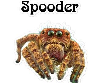 Jumping Spider Stickers, Spooder Sticker, Spider Stickers, Regal Jumping Spider Stickers, Stickers, Animal Stickers, Cute Spider Sticker