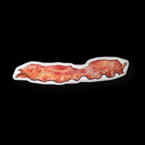 May include: A single strip of cooked bacon, with a crispy texture and a light brown color.