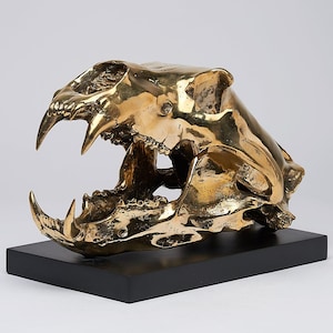 Polished Bronze Polar Bear Skull - Anatomical Wildlife Art, Statement Decor, Luxury Room Styling, Home Decoration, Polar Bear Statue - BR091