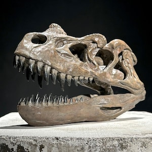 Brown Ceratosaurus Skull Resin Sculpture - Dinosaur Fossil, Prehistoric Decor, Artisan Decoration, Shelf Sculpture, Luxury Art Piece - RS008