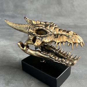 Bronze Dragon Skull Sculpture – Fantasy Mythical Statue, Gothic Home Decor, Medieval Art Collectible, Unique Dragon Figurine - BR305