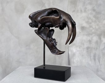 Replica in bronzo del teschio fossile di tigre dai denti a sciabola: oggetto da esposizione paleontologica, pezzo decorativo - BR308