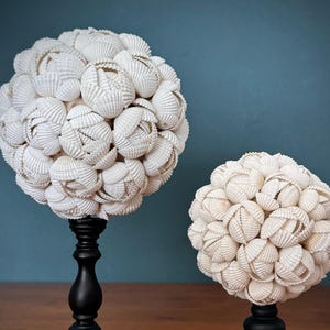 Conjunto de Bolas Decorativas em Formato de Concha: Decoração para Casa de Praia, Estilo para Casa - ToS,A/020