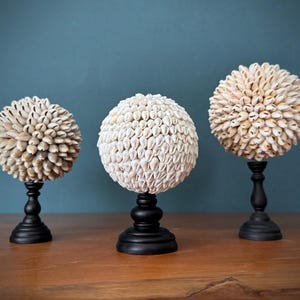 Conjunto de Bolas Decorativas de Conchas: Escultura de Concha Costeira em Suporte, Enfeite para Casa de Praia - ToS,A/025