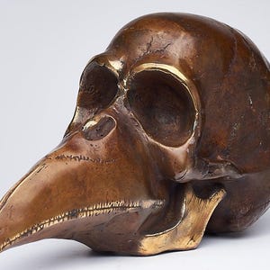 Bronze Bird Skull Sculpture – Mythical Fantasy Skull Art, Polished Bronze Decorative Statue, Gothic Room Decor Ideas, Table Decor - BR354