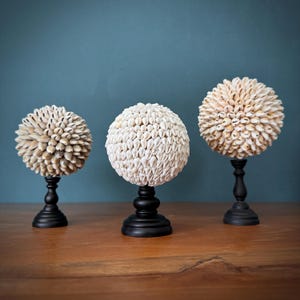 May include: Three decorative spheres made of small, cream-colored seashells, each mounted on a black, turned wooden base. The spheres have a textured, rounded shape, and the bases are a classic pedestal design. The background is a solid teal color.