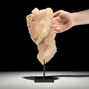 May include: A light peach-colored crystal cluster on a black metal stand. The crystal is held by a hand, showcasing its textured surface and unique shape. The background is black, highlighting the crystal's color and form.