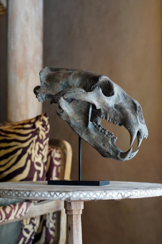 置物 polar bear skull Brown Polar Bear Skull Resin Sculpture: Natural History Decor