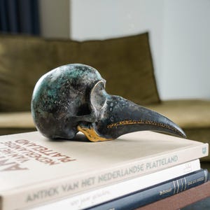Puede incluir: Una escultura de cráneo de pájaro de bronce con un pico largo, con un acento dorado en el pico. La escultura descansa sobre una pila de libros con títulos holandeses.