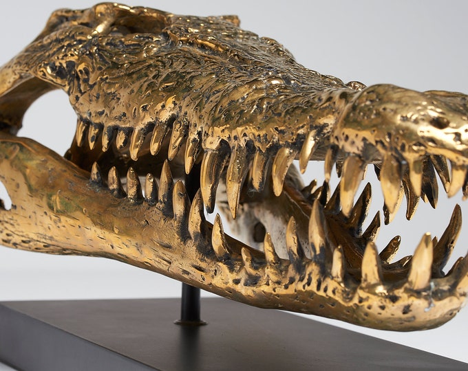 XL Saltwater Crocodile Skull on Custom Stand Crocodylus - Etsy