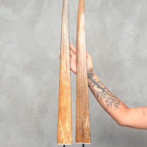 Paar Natürliche Stoßzähne - Wohnzimmer Styling, Handgefertigte Dekorative Akzente für Rustikale, Safari, oder Boho Interieurs - Tusk,A/053