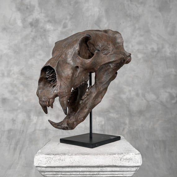 Brown Polar Bear Skull Resin Sculpture: Natural History Decor