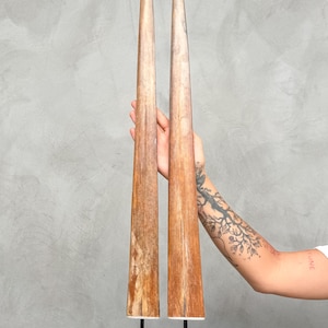 Set von zwei Tusks auf schwarzen Basen - Tischdekoration, natürliche dekorative Skulpturen für rustikales und Boho Home Styling - Tusk,A/052