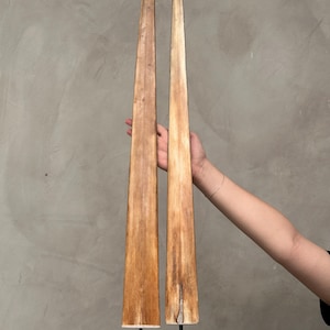 Paar rustikale Tusk Displays auf Ständern - Elegantes Home Styling, ethnisch inspiriertes natürliches Dekor für Wohnzimmer, Regal oder Eingangsbereich -Tusk,A / 048