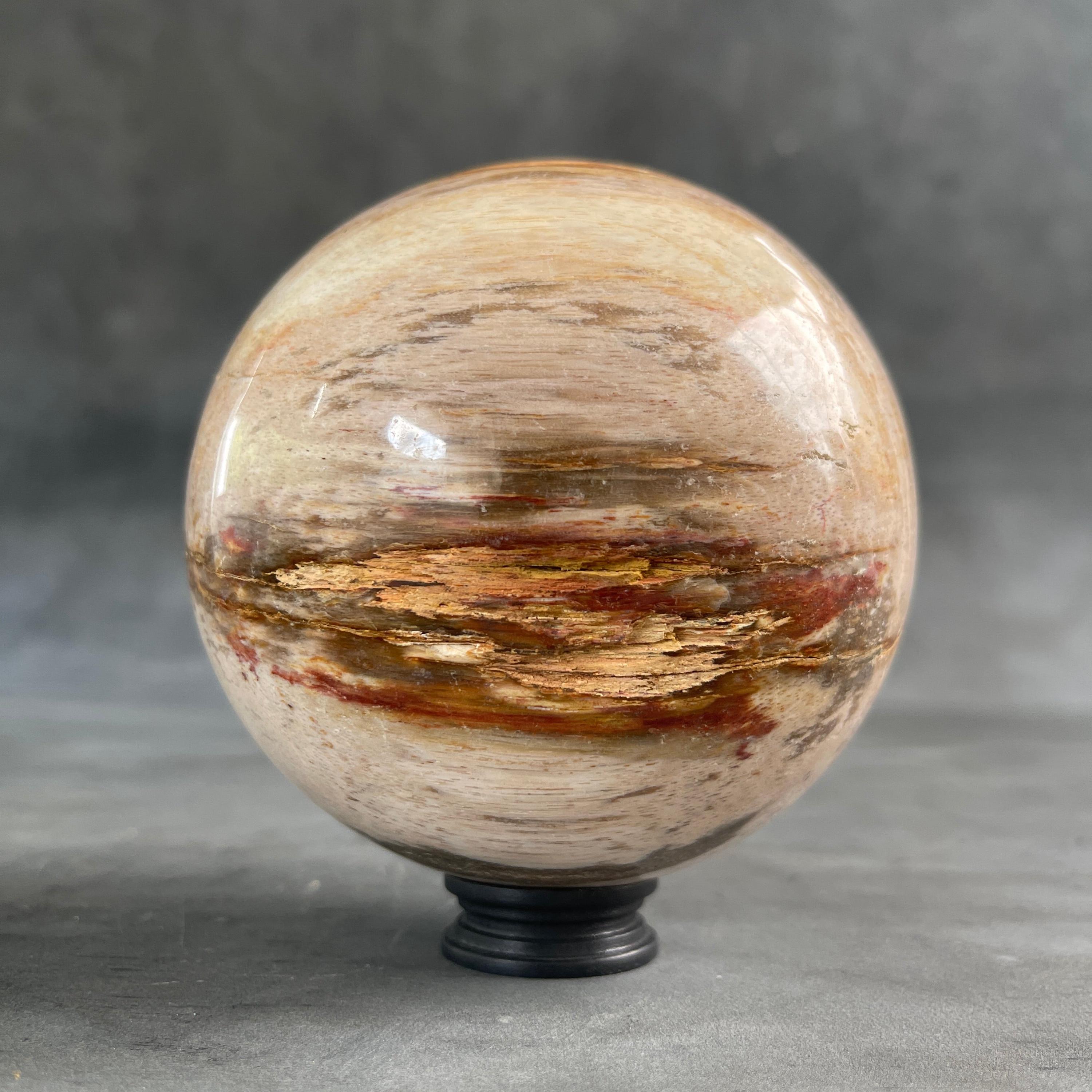 Petrified Wood Sphere on Stand | Natural Stone Sphere