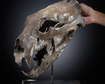 Brown Polar Bear Skull Resin Sculpture: Natural History Decor, Interior Design - RS015