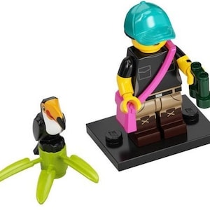 Lego Serie 22 Sammelfigur Basteln, Partytasche Spielzeug, Cracker Geschenk Pferde Roboter Elfe Chilli Rollstuhl Waschbär Kostüm LEGO Bird Watcher