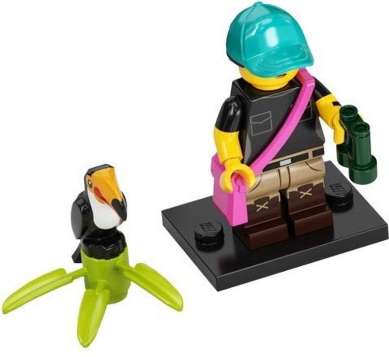 Lego Serie 22 Sammelfigur Basteln, Partytasche Spielzeug, Cracker Geschenk Pferde Roboter Elfe Chilli Rollstuhl Waschbär Kostüm LEGO Bird Watcher