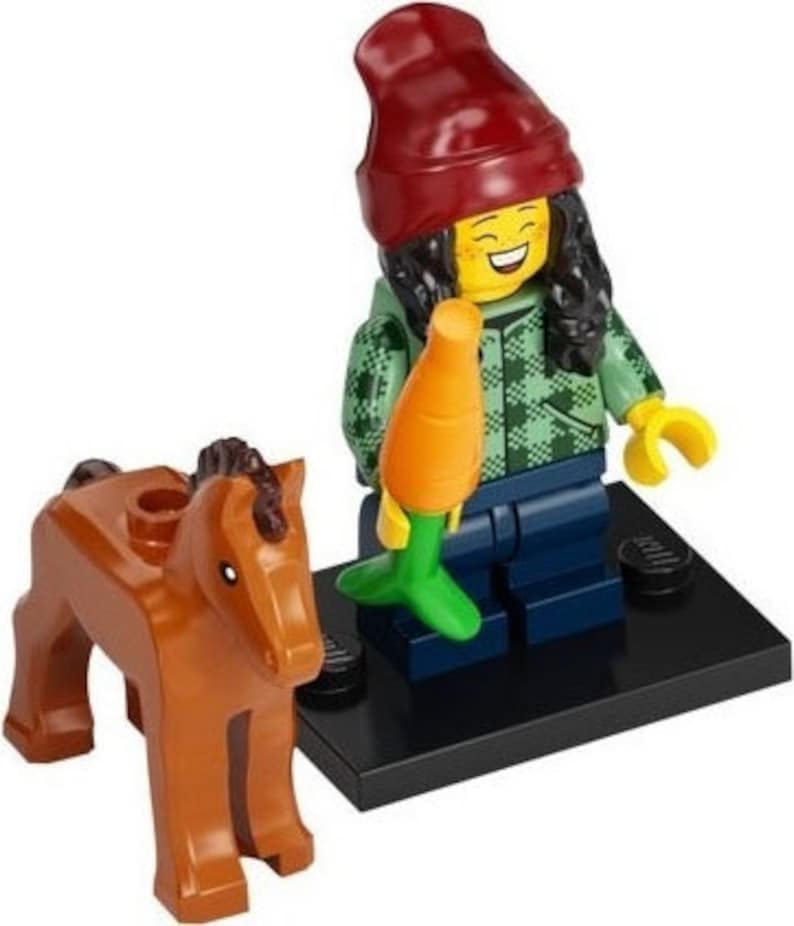 Lego Serie 22 Sammelfigur Basteln, Partytasche Spielzeug, Cracker Geschenk Pferde Roboter Elfe Chilli Rollstuhl Waschbär Kostüm Horse and Groom