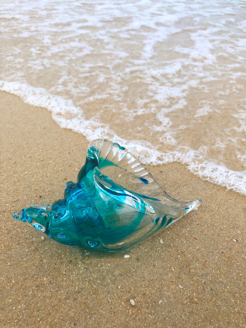 Blue Transparent Conch Shell Art Glass Sculptures Home Decor Ocean Lover Gift image 9