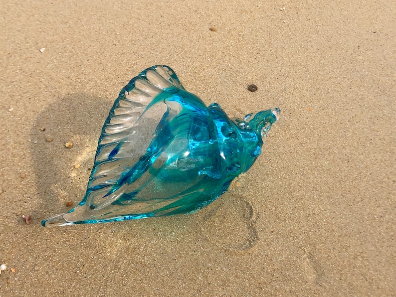 Blue Transparent Conch Shell Art Glass Sculptures Home Decor Ocean Lover Gift image 3