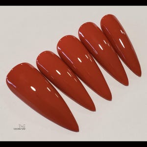 Terra Cotta Matte/Glossy Finish Press On Nail Set