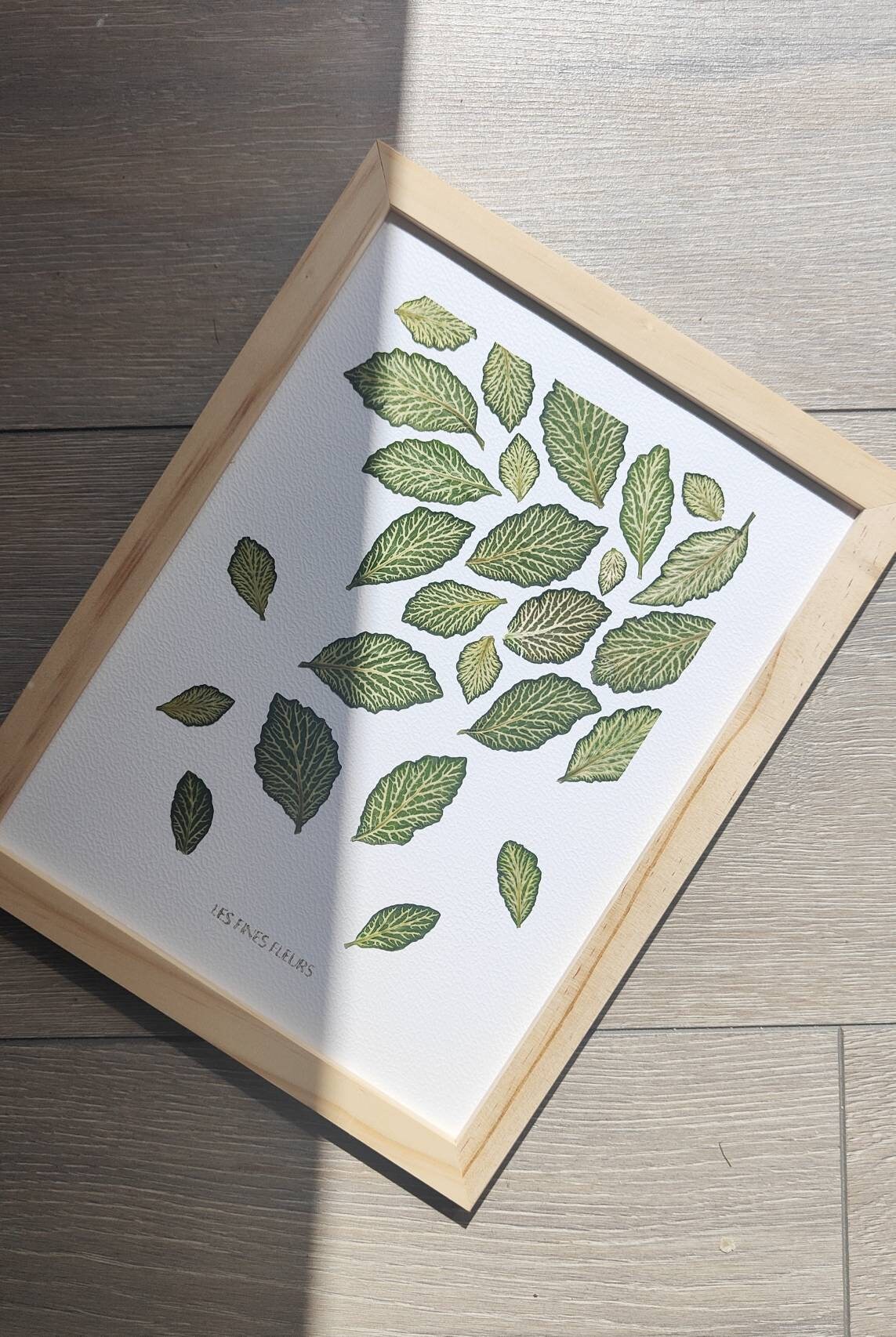 Herbier 18x24cm/Fittonia Mosaic /Herbier Encadré/ Cadre Herbier Feuilles Séchées Fleurs Pressées /Fr