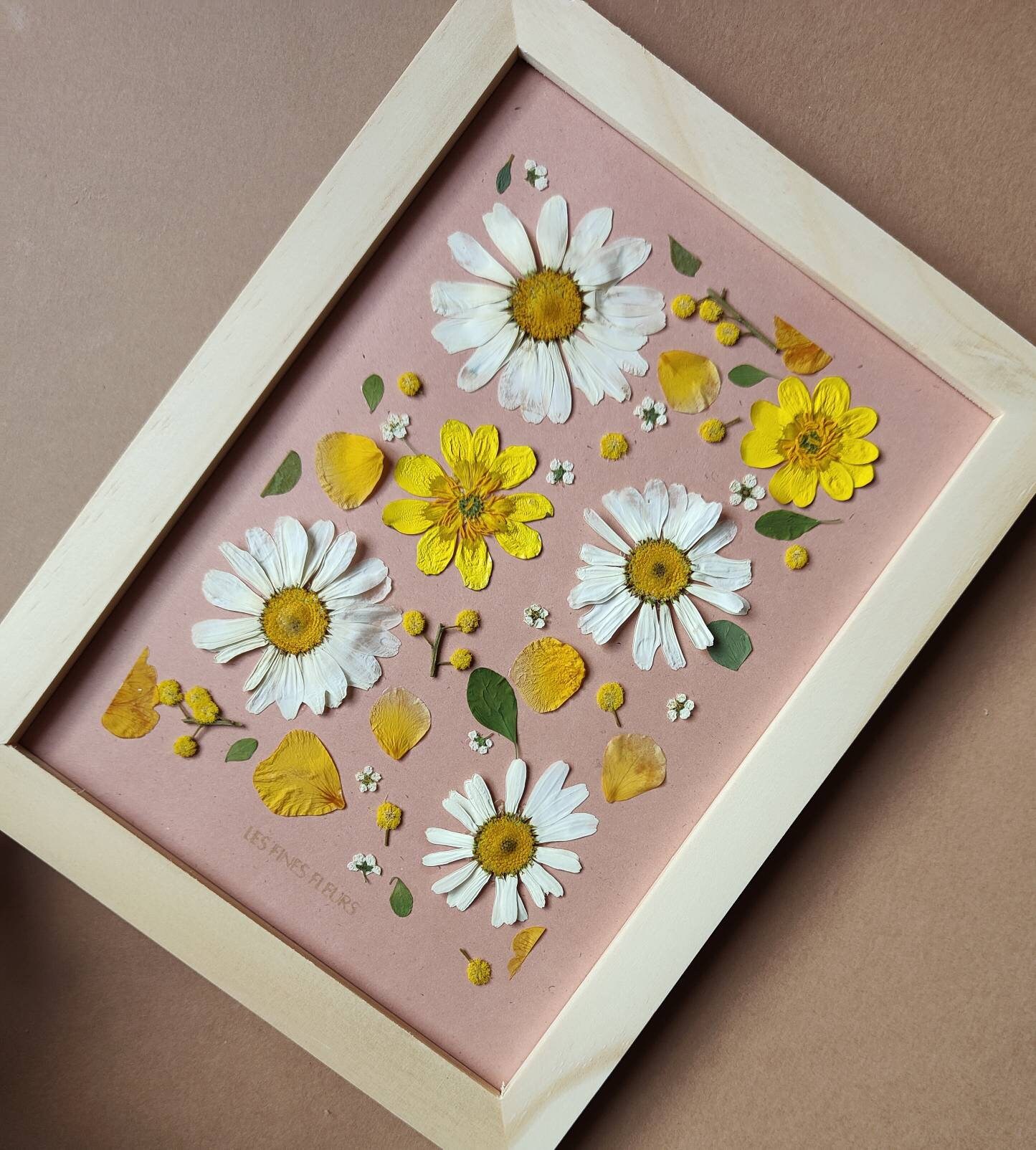 Herbier Cadre/Fleurs Séchées/ Herbier Encadré/ Herbarium Marguerite/ French Hydrangeas/ Fête Des Mèr