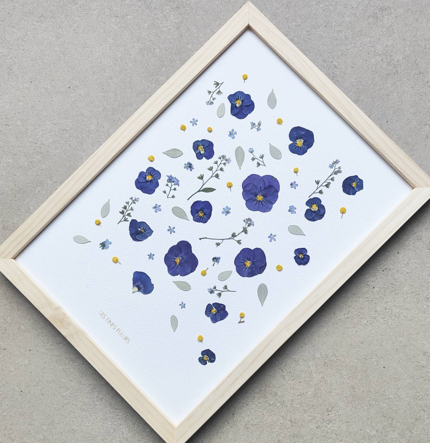 Herbier Cadre/Fleurs Séchées Herbier Encadré/ Herbarium Fleurs/ French Herbier
