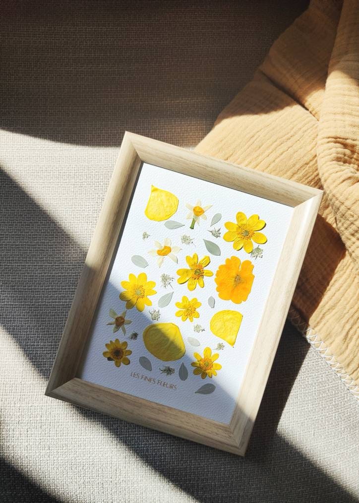 Herbier Cadre/ Herbier Cadre/Fleurs Séchées Séchées/ French Herbier/ Flowery Frame