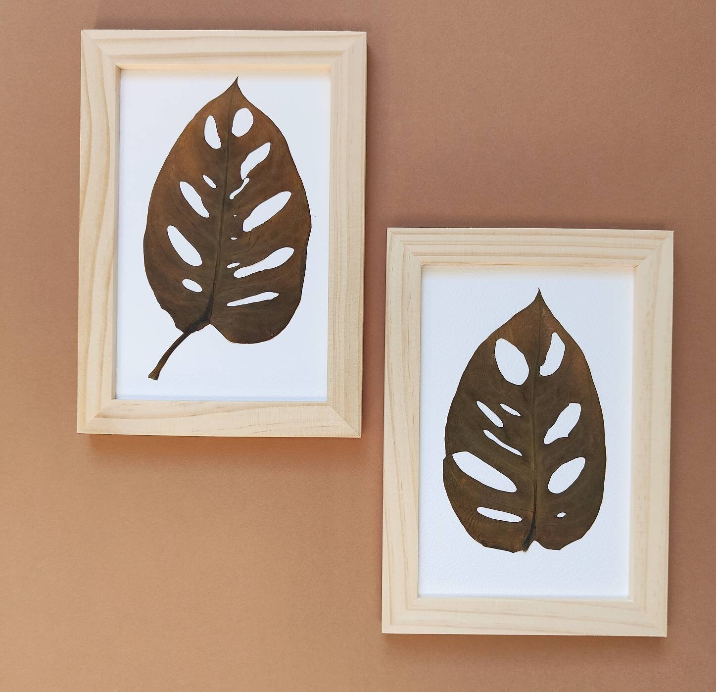Duo d'herbiers de Monstera/Herbier 10x14cm/ Saint Valentin Cadre Monstera