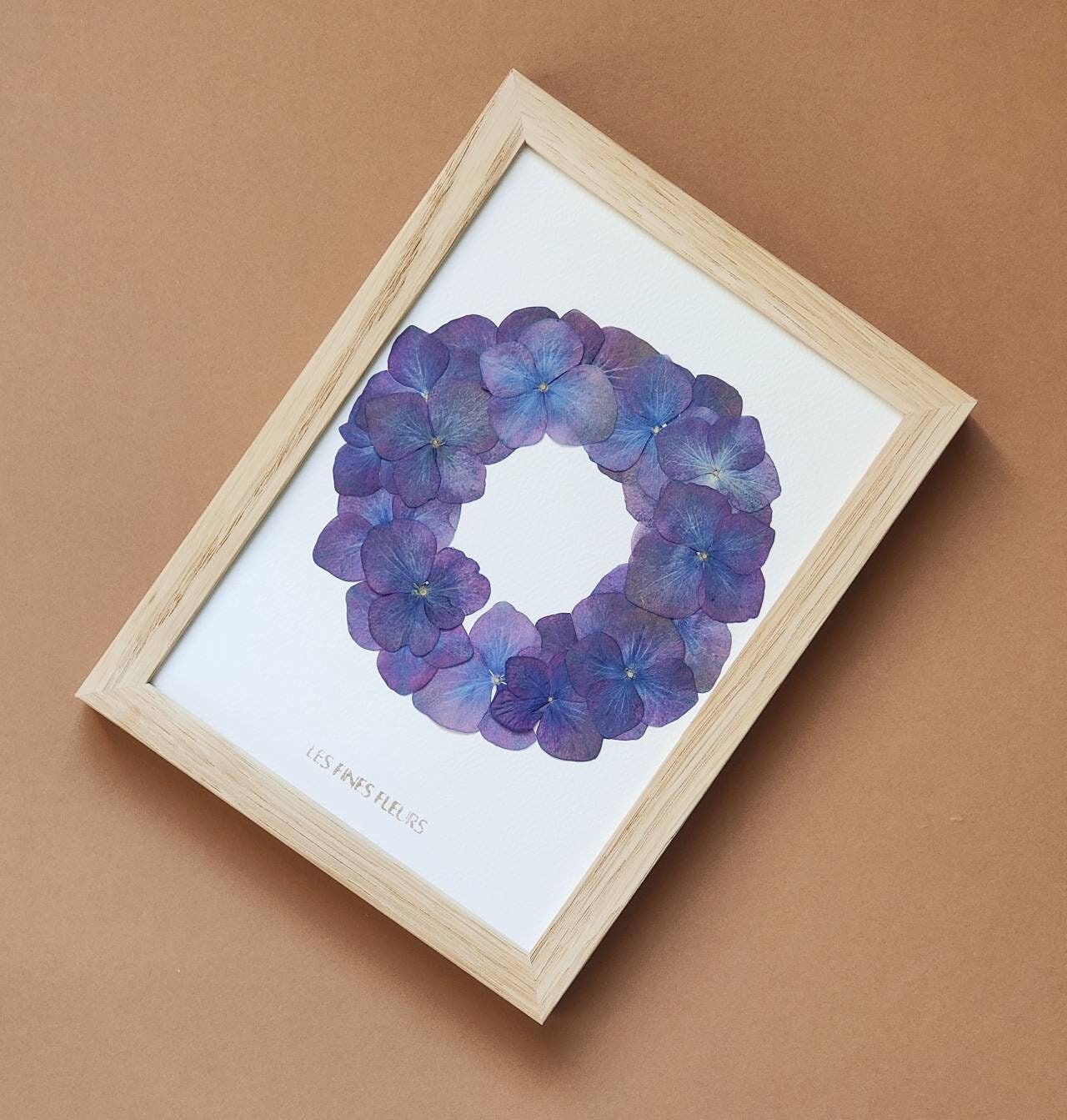 Herbier Encadré/Herbier d' Hydrangea Herbarium Hortensia Fleurs Sechees